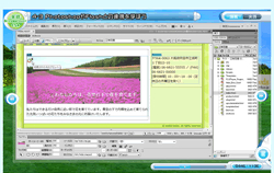 dreamweaver