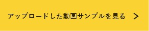 アップロードしたサンプル動画を見る